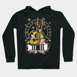 saint zodiac 6 Hoodie